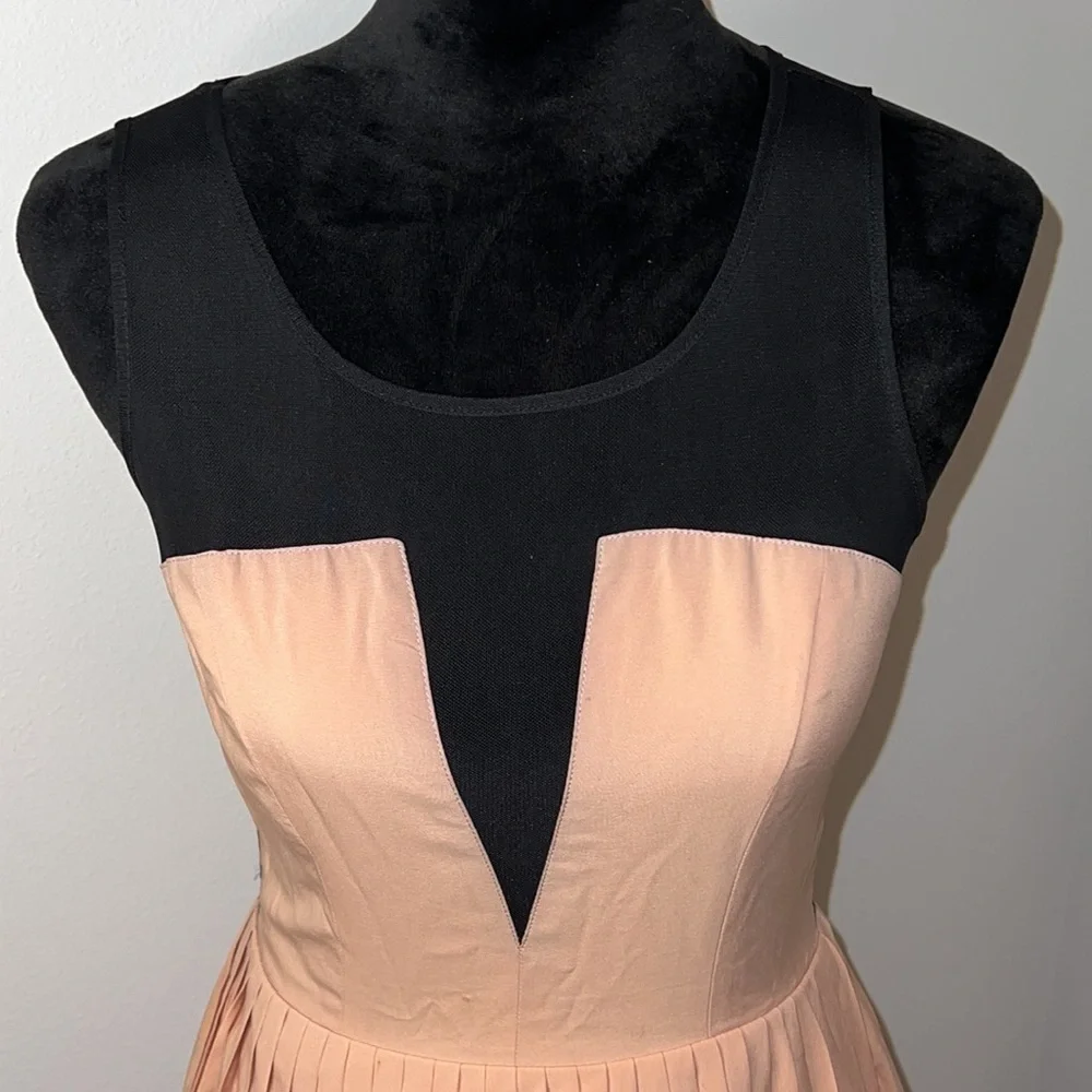 Ark & Co. sz S‎ pleated mini dress black stretch net sheer top
